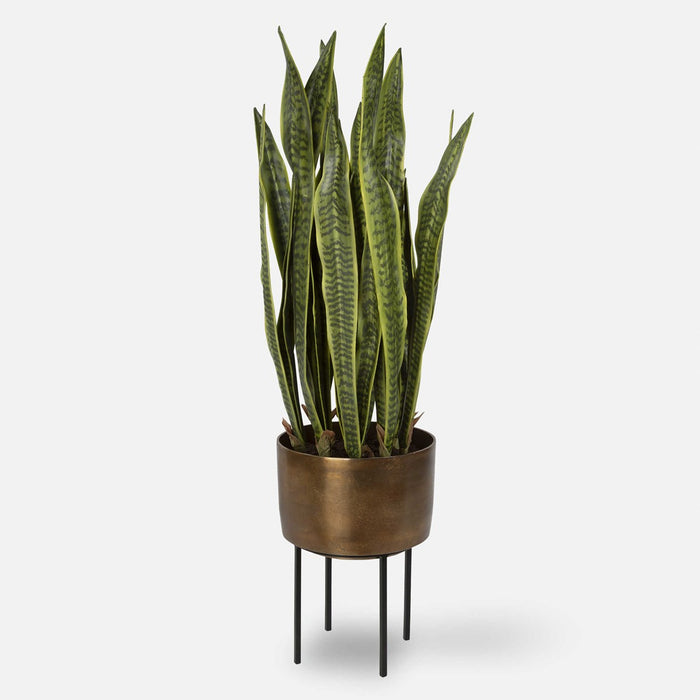 Asita Planter 2 Cartons