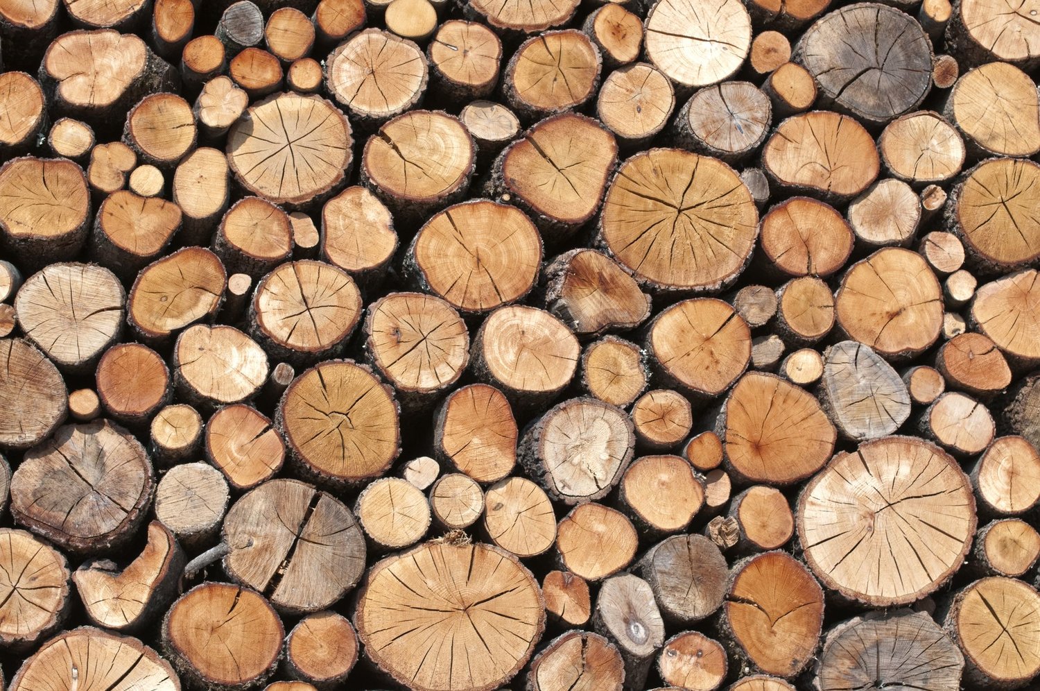 TIMBER