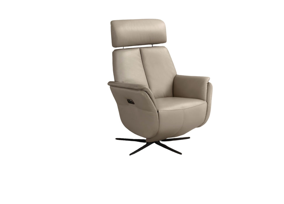 Bev Swivel Recliner Chair