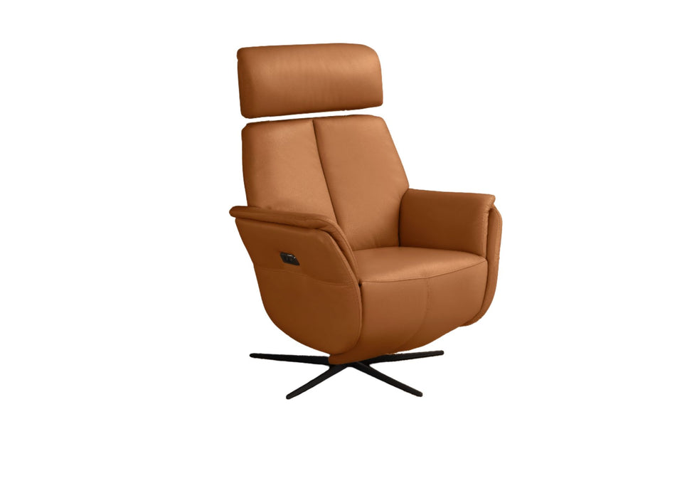 Bev Swivel Recliner Chair