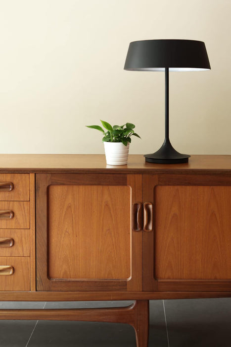 Zhena Table Lamp