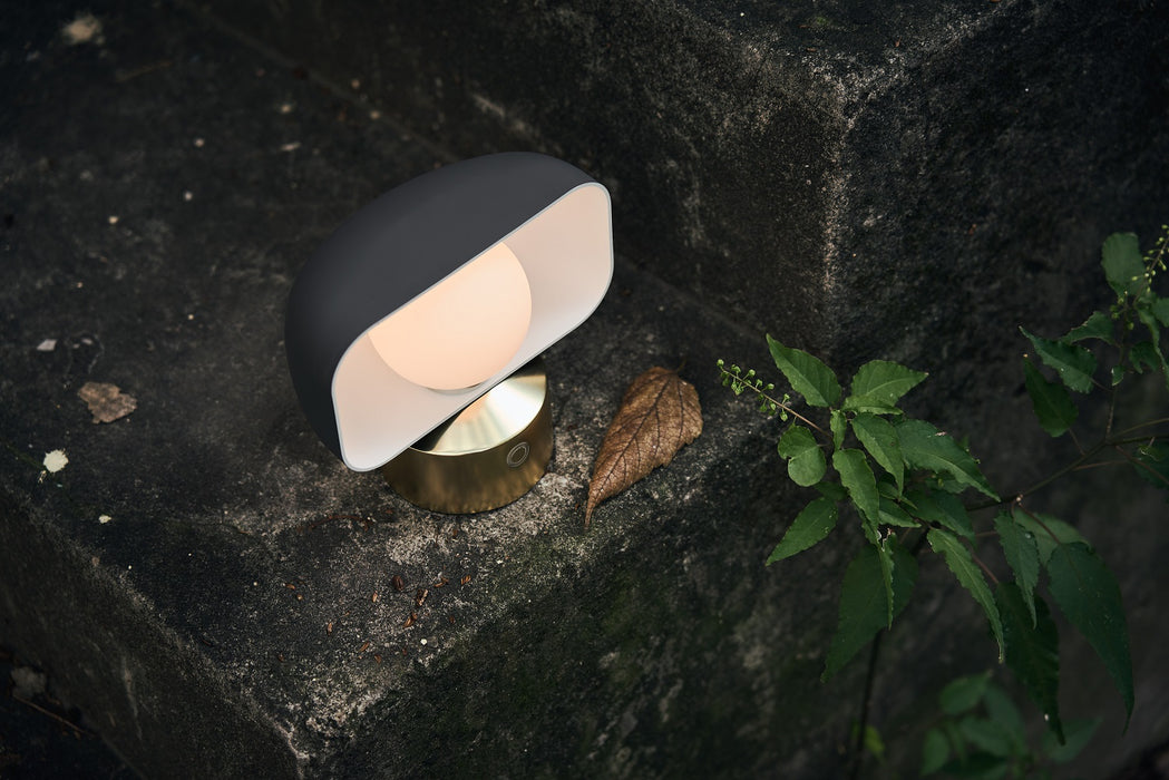 Loodie Table Lamp