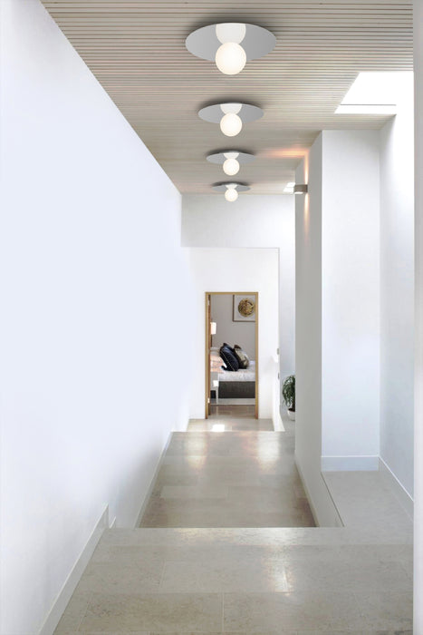 Ola 12 Disc Flush Lamp