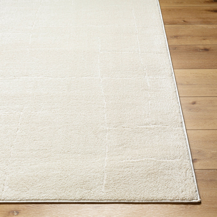 Fall-11 Rug